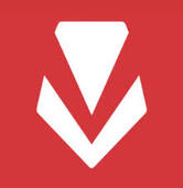 Riot Vanguard(VGK)